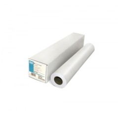HP Professional Canvas Roll (E4J61B)